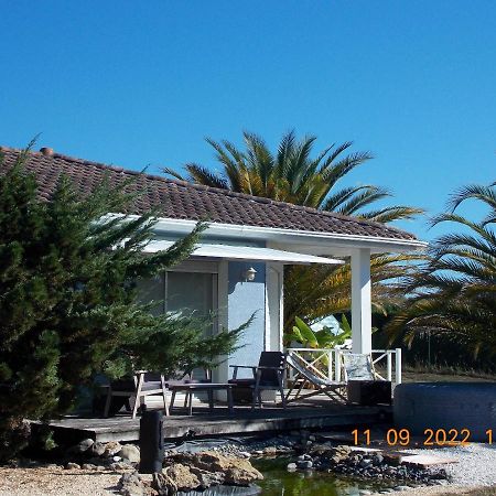 Villa Maison Authentique Avec Spa Pres De Dax Et Son Jardin Angoumé Exterior foto